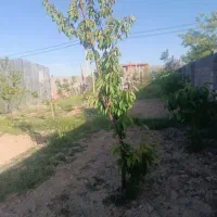 باغ 500متری حیدره بالای شهر با قدمت بالای