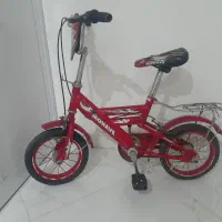دوچرخه ۱۲بچه گانه
