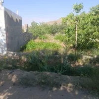 باغی به مساحت ۲۲۰۰ متر سند دار