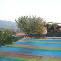 گلخانه-ویلا