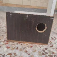 لانه پرنده