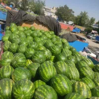 باربری حمل بار ماشین گیر جفت تک خاور تریلی