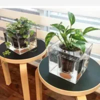 گل و گلدون آکواریوم یا گلواریوم