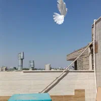 دمگیر سفید ماده دولا
