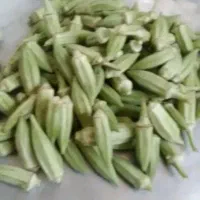 فروش‌بامیه‌‌ارگانیک‌تازه