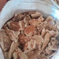 نان خشک یک دست بربری