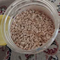 غذای ماهی