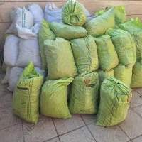 پیاز زعفران