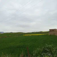 زمین-فروشی