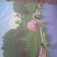 فروش پرده چاپی منظره