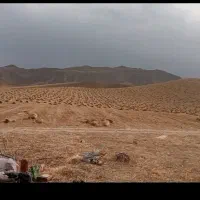کاه دیمه