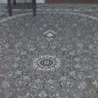 دوتاشش متری درحد نونو