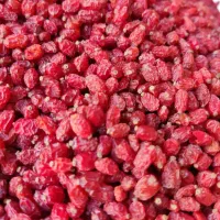 زرشک پفکی زعفران درجه یک قائنات