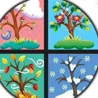 درآمد با طب سنتی