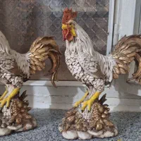 دو عدد خروس با یدونه مرغ با جوجه هاش
