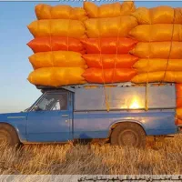 فروش علف و گیاه وکاه گندم