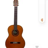 palado 100 cg