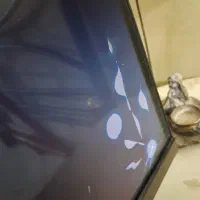 تلوزیون
