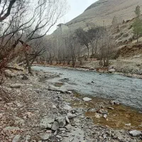 طبیعت گردی دوستانه