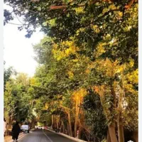 ۱۵۰۰ متر بر چمن ۳ مهرشهر تاپ لوکیشن سند تک برگ