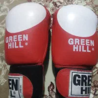 دستکش چرم بوکس