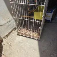 قفس پرنده