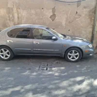 ماکسیما نوک مدادی