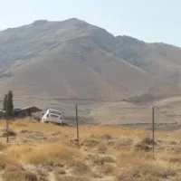 زمین کشاورزی. ،دیمیزار