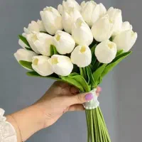 رز روبانی|گل مصنوعی|بوشهر, |دیوار