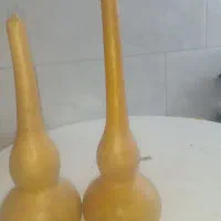 کدو تزیینی باحال