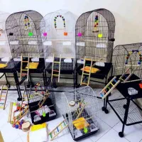 فروش بدون واسته قفس انواع پرنده
