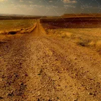 زمین خیابان امیر کبیر