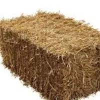 کاه پرس -کولوش گه نم به ر ئاو