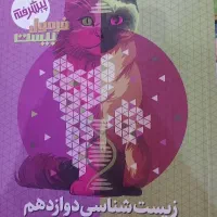 فرمول بیست