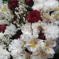 نگین امید / نگین زرین