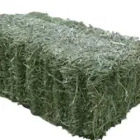 غذا حیوانی