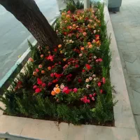 خدمات باغبانی احمدی سرویس به تمام نقاط تهران