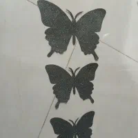 گل پروانه های تزینی