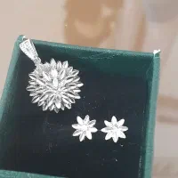 نیم ست نقره