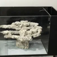 اکواریوم ابشور