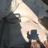 آرد تازه برافرووش