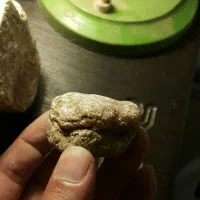 فسیل عقیق شده صدف میلیون ساله