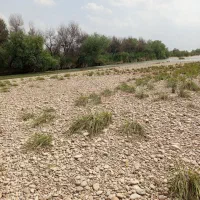 زمین درخیابان شقایق