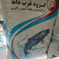 فروش خوراک اکسترود ماهی قزل الا غرب دانه