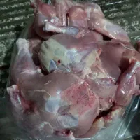 تلفات مرغ برای سگ و گربه