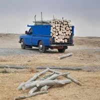 خریدار چوب همه نوع