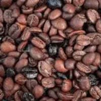 فروش همه لاین های قهوه پودریجات شکلات