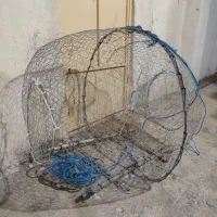 گرگور بزرگ نو