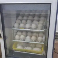 پذیرش تخم دستگاه جوجه کشی