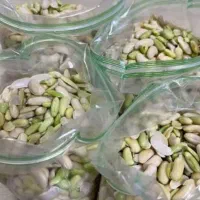فروش پاچ باقالی